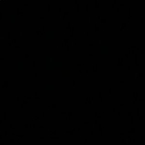 Meet your Posher, Tori